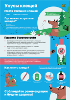 Укусы клещей Укусы клещей.